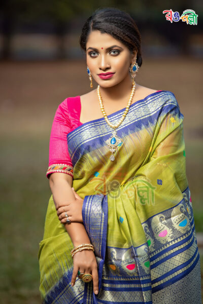 Gadwal Saree in Olive